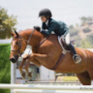 Meet your Posher, Equestrian11
